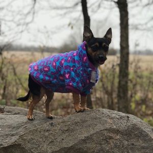 Meet your Posher, Tyler